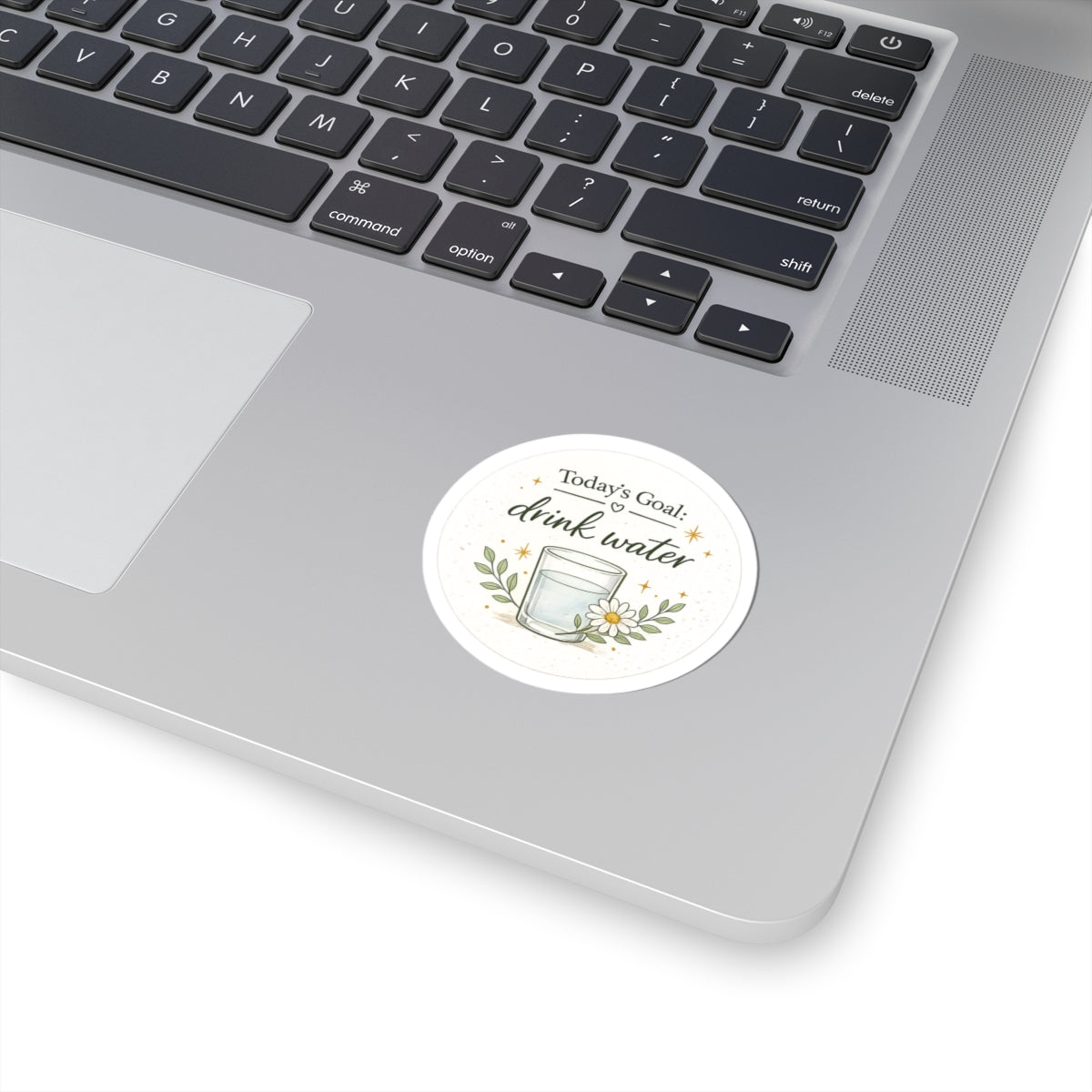 Drink Water Sticker — "Today's Goal: Drink Water" Floral Hydro Reminder Kiss-Cut