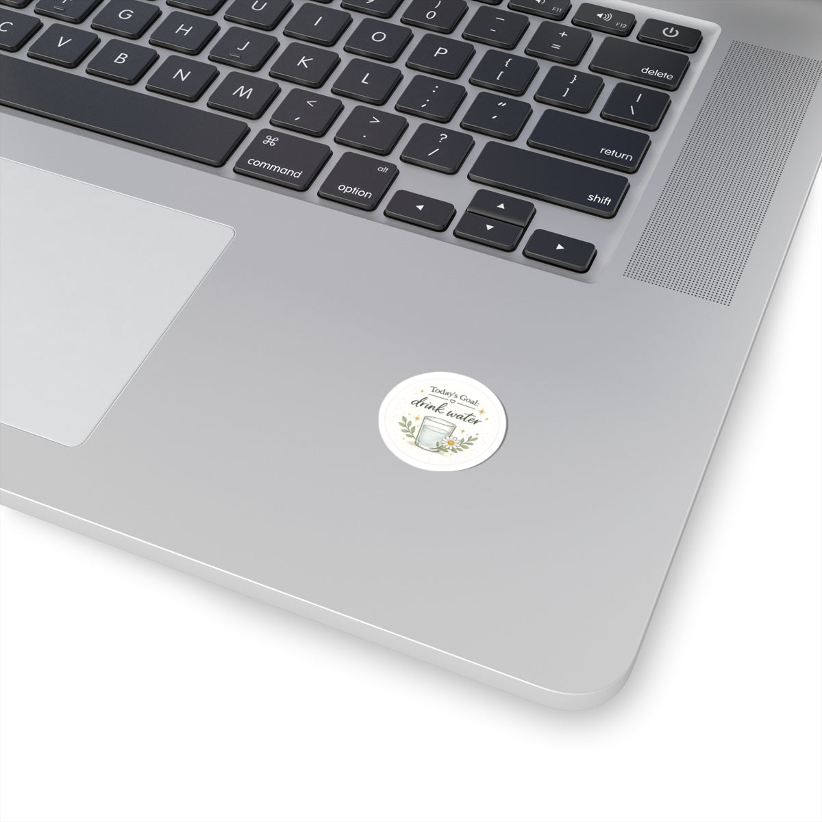 Drink Water Sticker — "Today's Goal: Drink Water" Floral Hydro Reminder Kiss-Cut