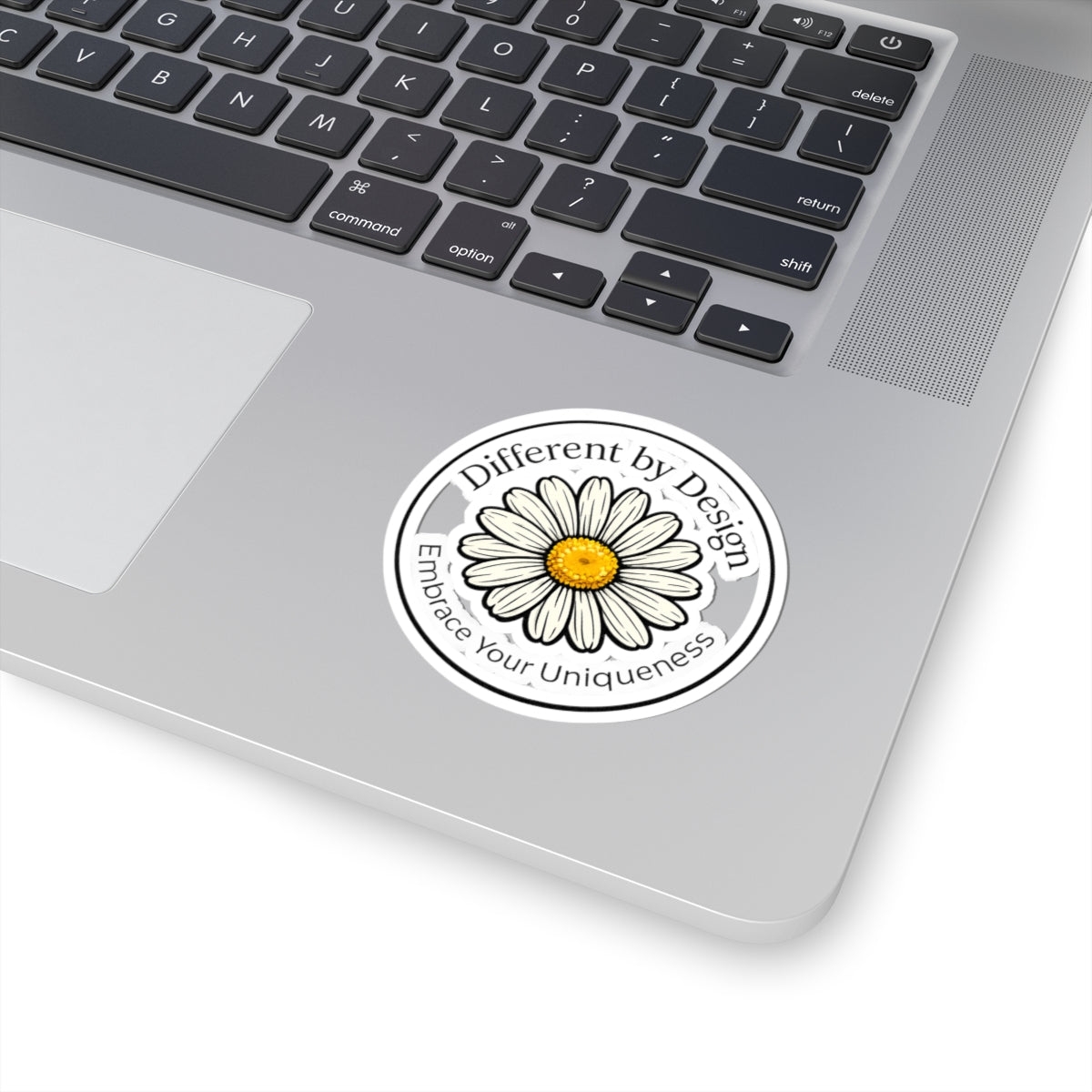 Daisy "Different by Design" Signature Bundle