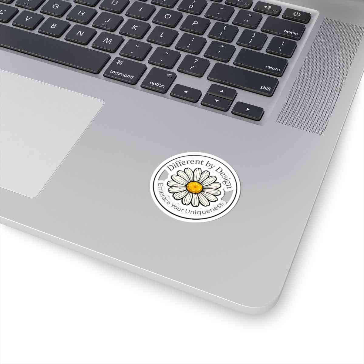 Daisy "Different by Design" Signature Bundle