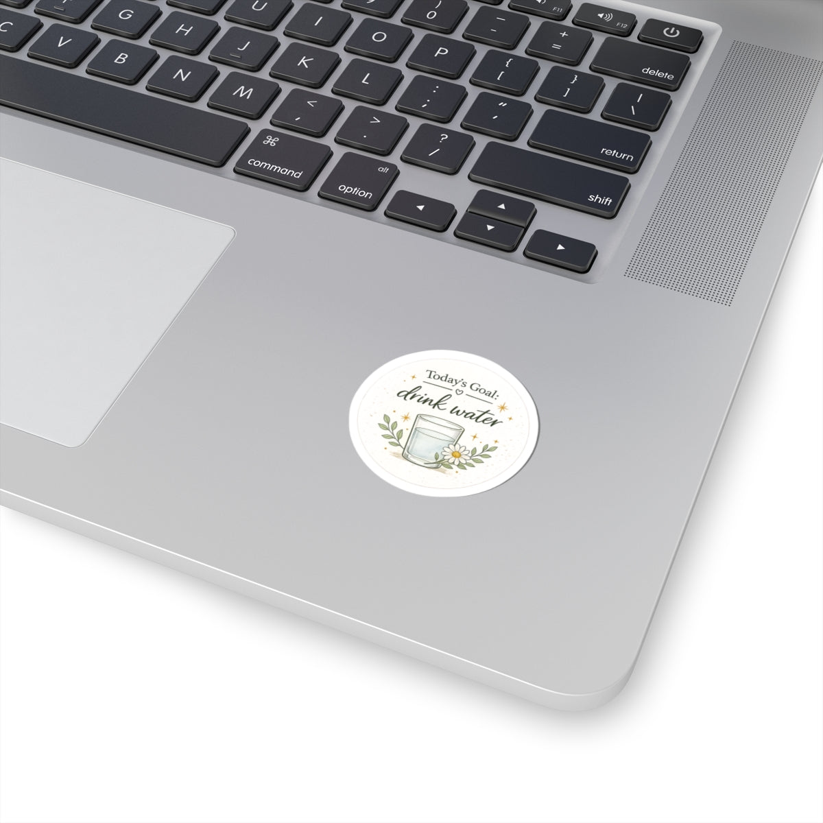 Drink Water Sticker — "Today's Goal: Drink Water" Floral Hydro Reminder Kiss-Cut